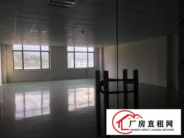 
丹竹头新建厂房带装修厂房出租2000平（可分租）