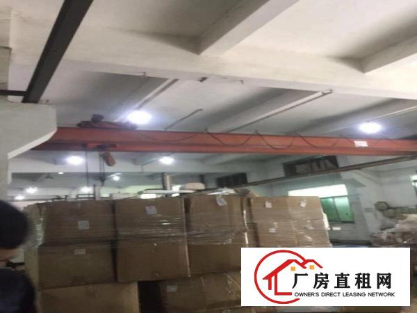
布吉李朗新出独院厂房出租8400平可分租