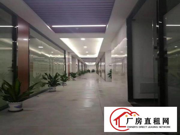 
布吉丹竹头地铁站50000平商业综合体招商（可分租