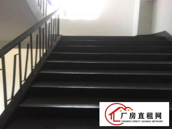 
爆！布吉水经独院花园厂房出租5920