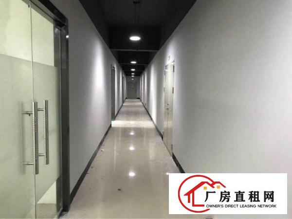 
丹竹头300平电商，仓库，组专，过消防/带卸货台