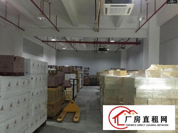 
丹竹头300平电商，仓库，组专，过消防/带卸货台