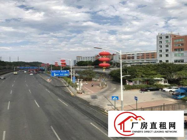 
丹竹头300平电商，仓库，组专，过消防/带卸货台