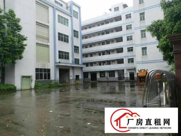 
独院标准厂房招租，交通方便，园区空间大