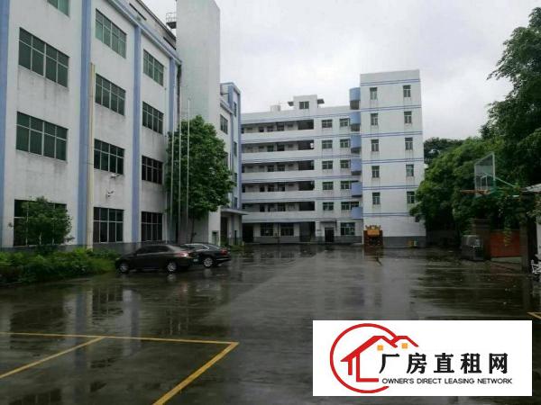 
独院标准厂房招租，交通方便，园区空间大