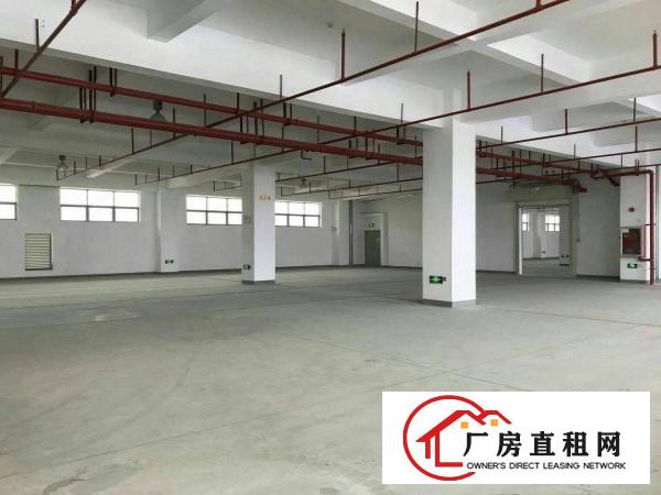 
独院标准厂房招租，交通方便，园区空间大