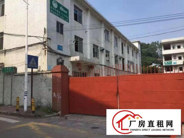 
横岗六约小独院厂房3669平米，宿舍1531平米