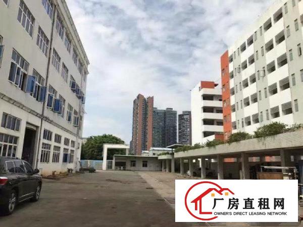
布吉丹竹头工业园厂房2000平米100平米起租