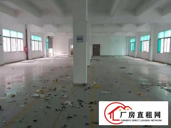 
布吉丹竹头工业园厂房2000平米100平米起租