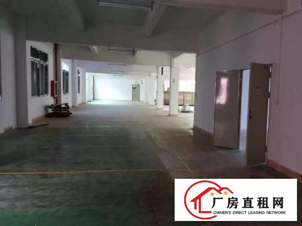 
布吉丹竹头工业园厂房2000平米100平米起租
