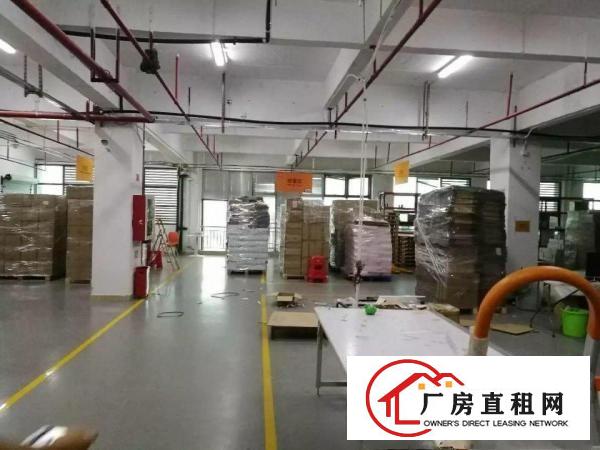 
布吉科技园楼上2180平米现成水电办公室精装修出租
