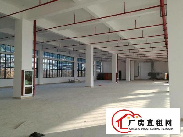 
红本厂房仓库出租2000平米可分一半，合同可6年
