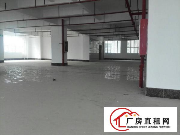 
独院厂房招租，高速出囗