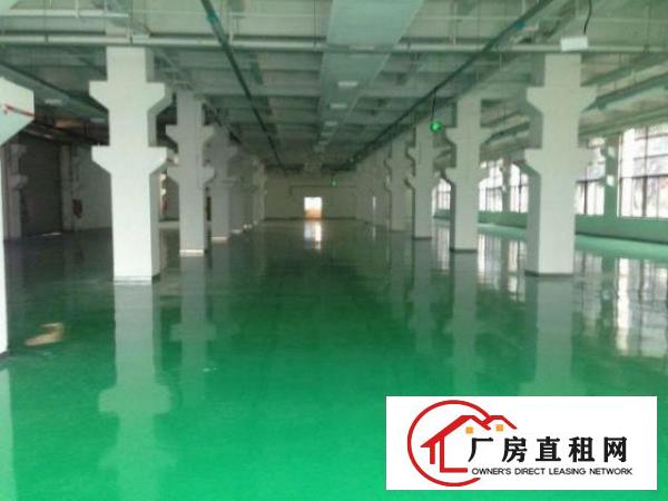 
布吉地铁站35000平方厂房仓库写字楼招租