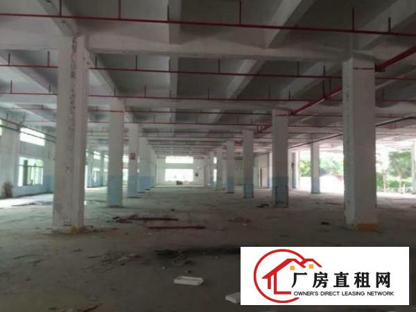 
布吉地铁站35000平方厂房仓库写字楼招租