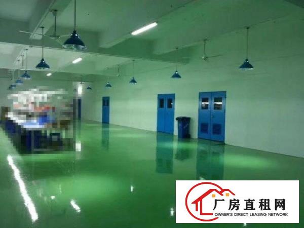 
爆！！布吉丹竹头地铁附近带装修厂房1500平出租