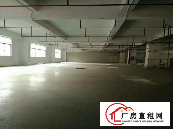 
标准厂房，园区10万平米，配置完善，进车方便