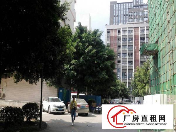 
花园式厂房招租，交通方便，园区空间大，