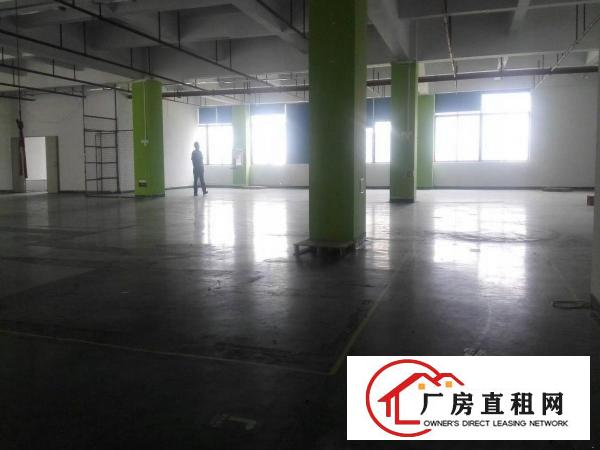 
花园式厂房招租，交通方便，园区空间大，
