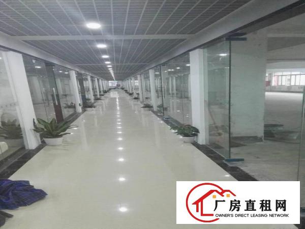
丹竹头精装修办公室60平，120平，200平出租