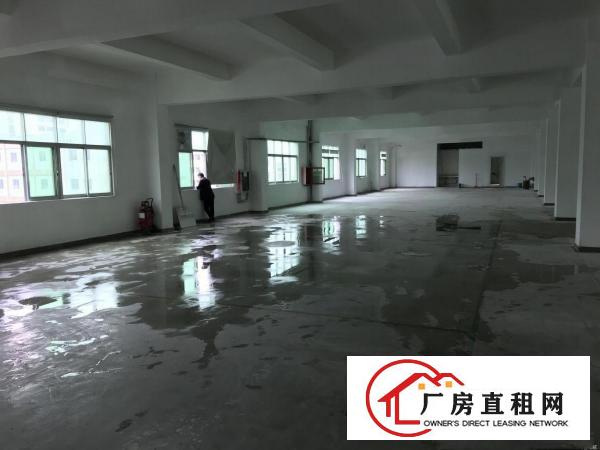 
布吉李朗新出整层1680平厂房出租