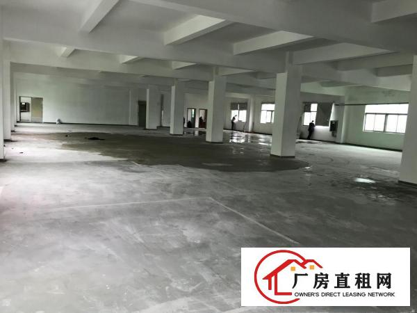 
布吉李朗新出整层1680平厂房出租