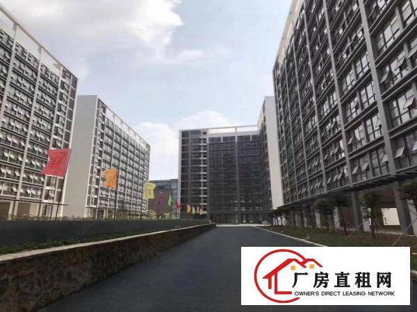 
坪地低碳高新孵化基地15万平米厂房红本政府3 2补