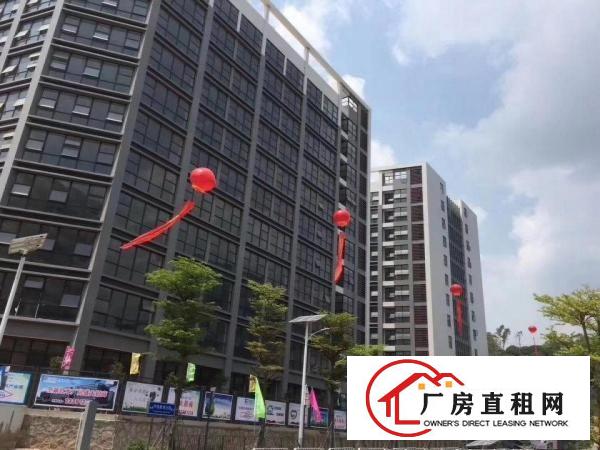 
坪地低碳高新孵化基地15万平米厂房红本政府3 2补