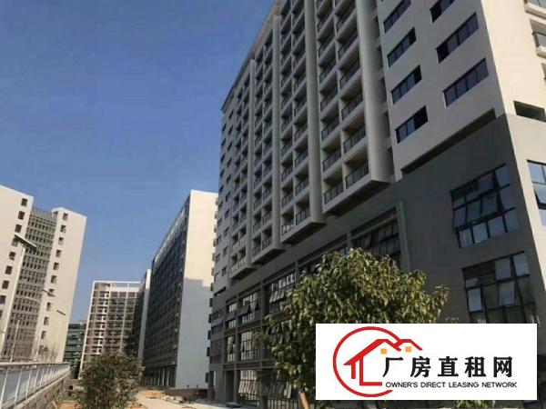 
坪地低碳高新孵化基地15万平米厂房红本政府3 2补