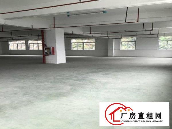 
丹竹头300平办公仓库，业主直招租