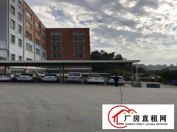 
丹竹头300平办公仓库，业主直招租