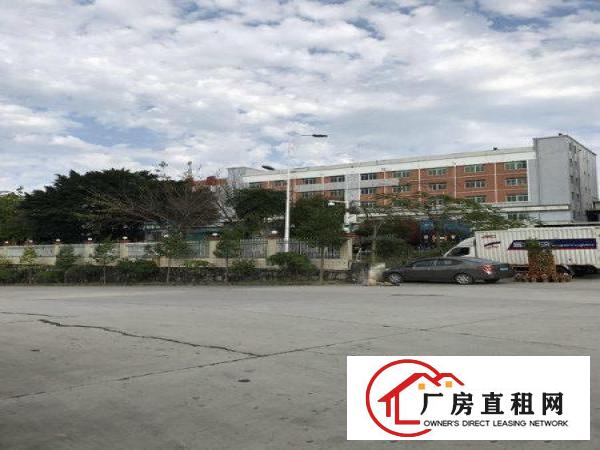 
丹竹头300平办公仓库，业主直招租