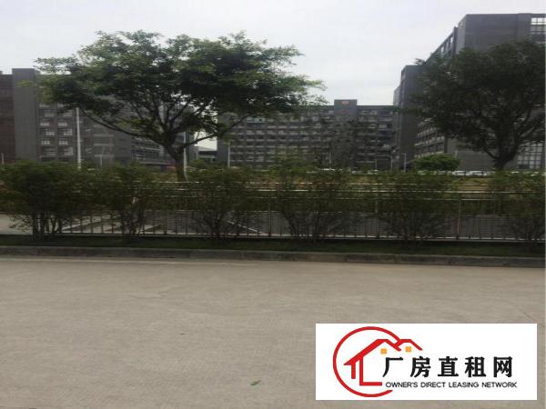 
布吉下李郎精装1168平方