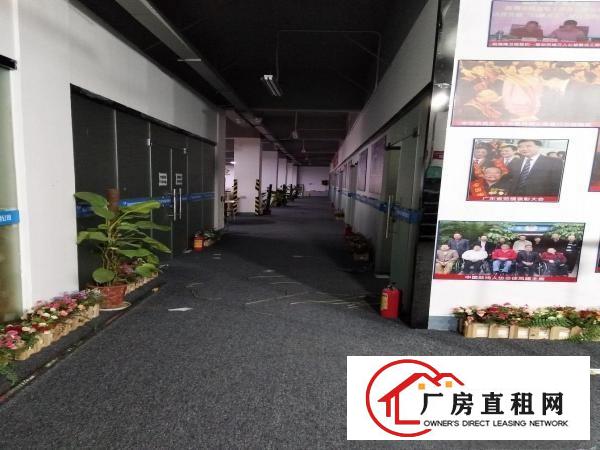 
十万火急！横岗一楼1390平带精装修厂房出租可分租