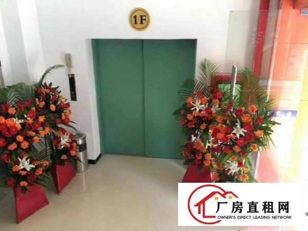 
丹竹头地铁口215、350、500、850电商办公