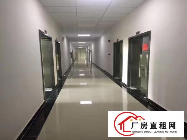 
丹竹头地铁口215、350、500、850电商办公