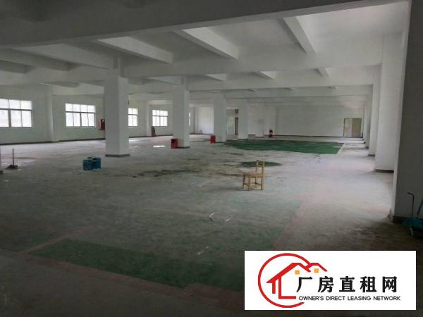 
布吉上李朗全新厂房单层1680平米出租可分租