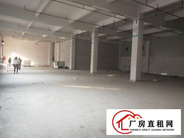 
深圳凤岗雁田一楼1500平七米高厂房出租
