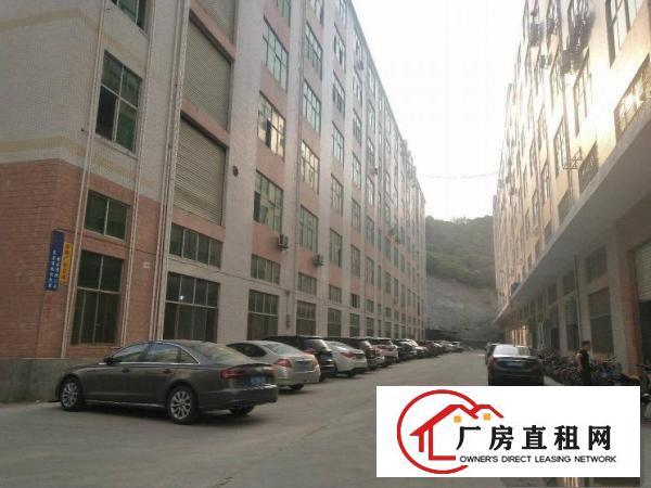 
深圳凤岗雁田一楼1500平七米高厂房出租