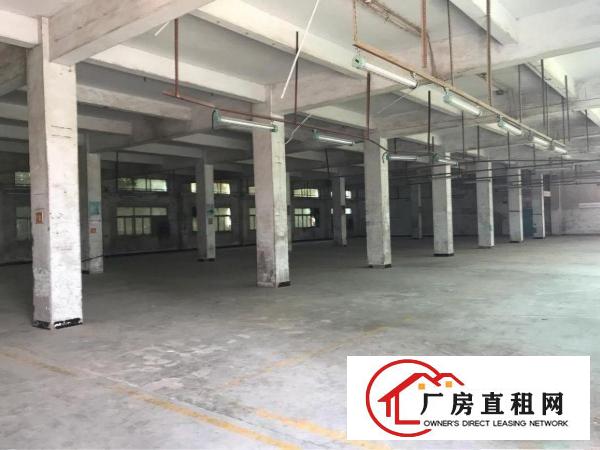 
上李朗工业区新出3楼厂房480平方方正好利用