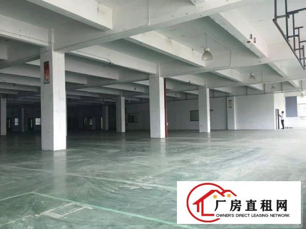 
丹竹头原房东厂房1400 750平出租