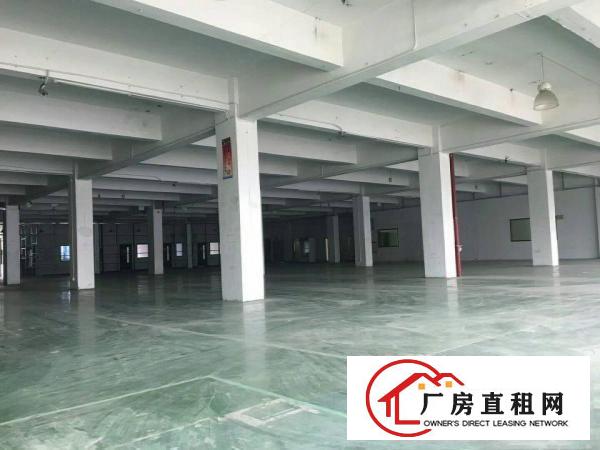 
丹竹头原房东厂房1400 750平出租