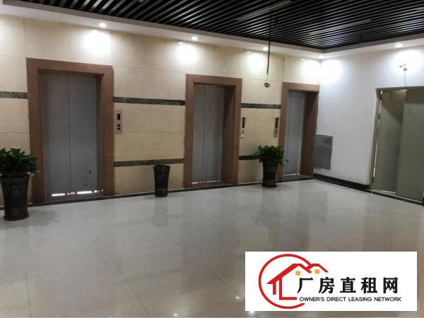 
丹竹头精装电商园，即刻可用