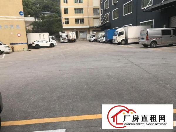 
南岭新出厂房3000平方