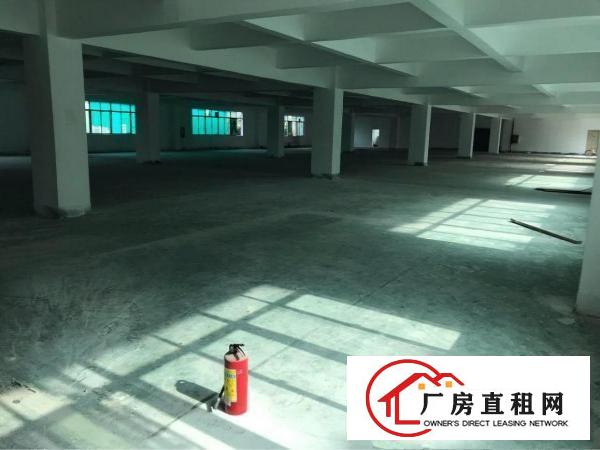 
南岭新出厂房3000平方