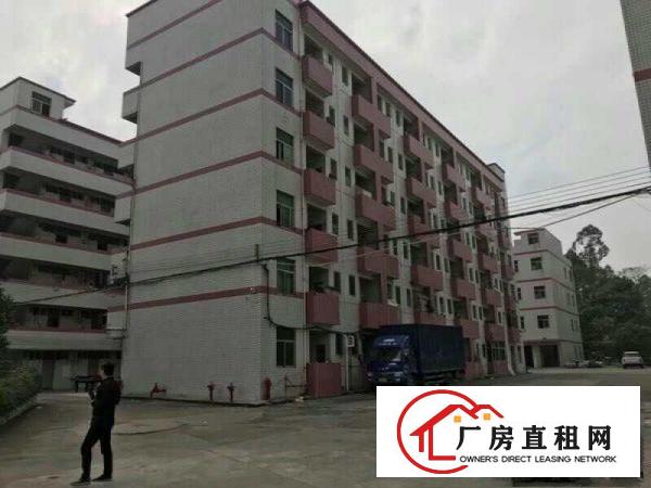 
布吉可园小学旁厂房出租