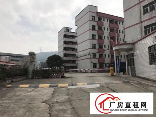 
布吉可园小学旁厂房出租