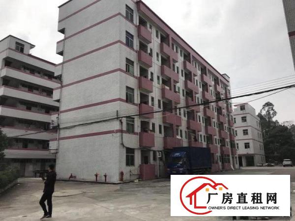 
布吉可园小学旁厂房出租