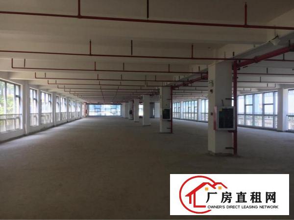 
橫岗六约社区标准厂房二楼2600平方带三吨电梯可分