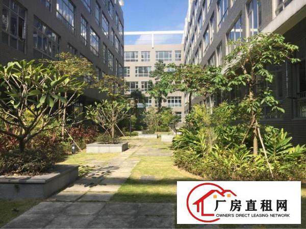 
橫岗六约社区标准厂房二楼2600平方带三吨电梯可分